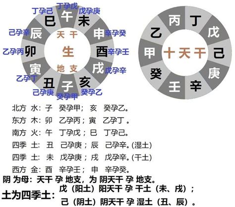 巳藏支|十二地支藏干本气、中气、余气的界定及作用